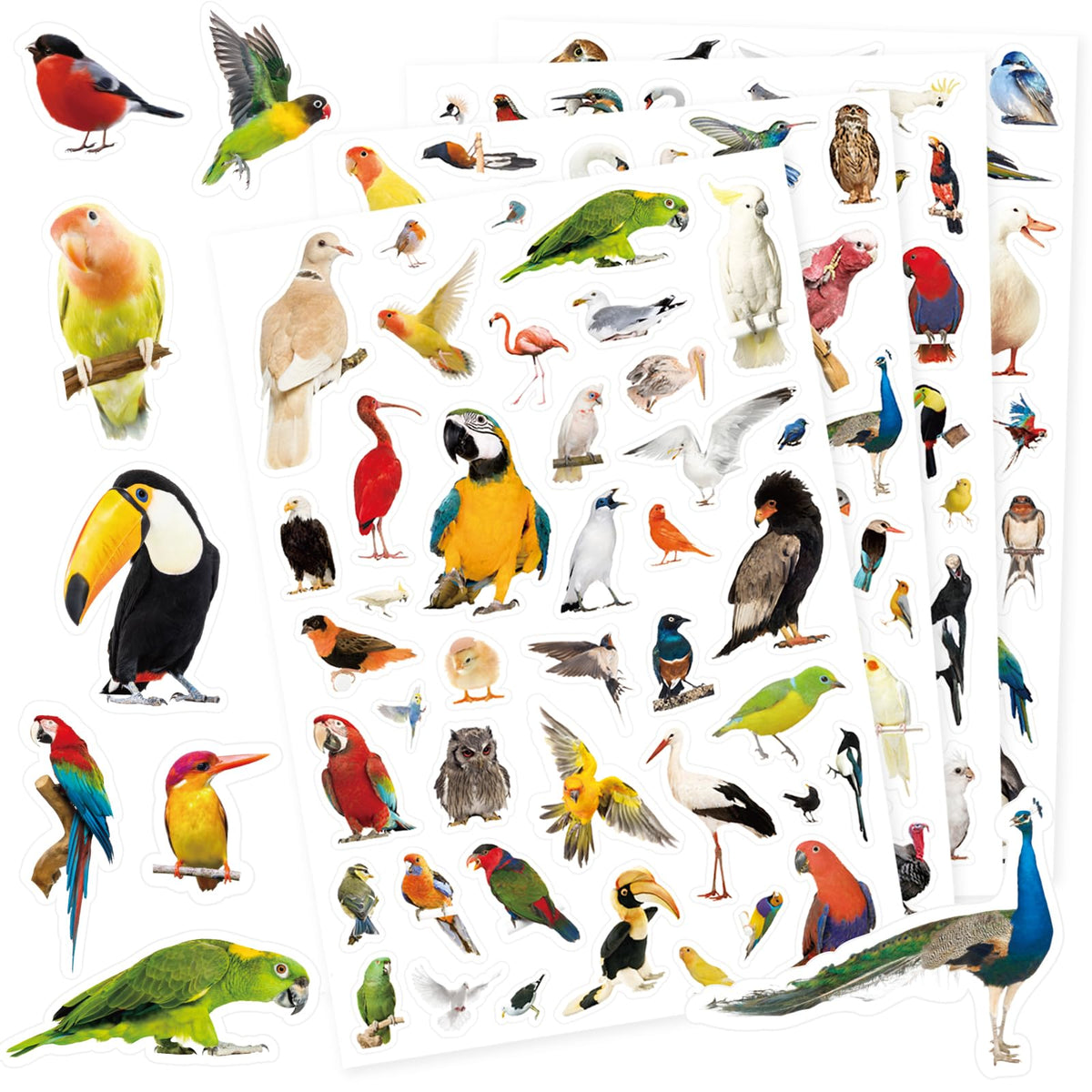 Pet Animals Stickers 660 Count Dog Cat Animal Pet Rabbit Parrot Fish Bird Reptiles Stickers Party Favors Gifts Sticky Decor for Scrapbook Calendar Planner Gift Wrap Decor