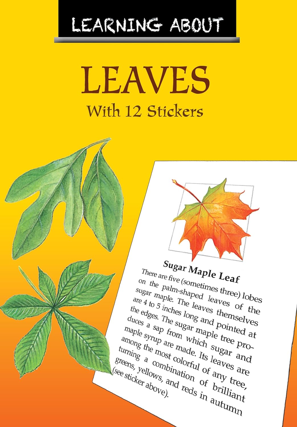 Learning About Leaves: With 12 Stickers (Dover Little Activity Books: Nature)