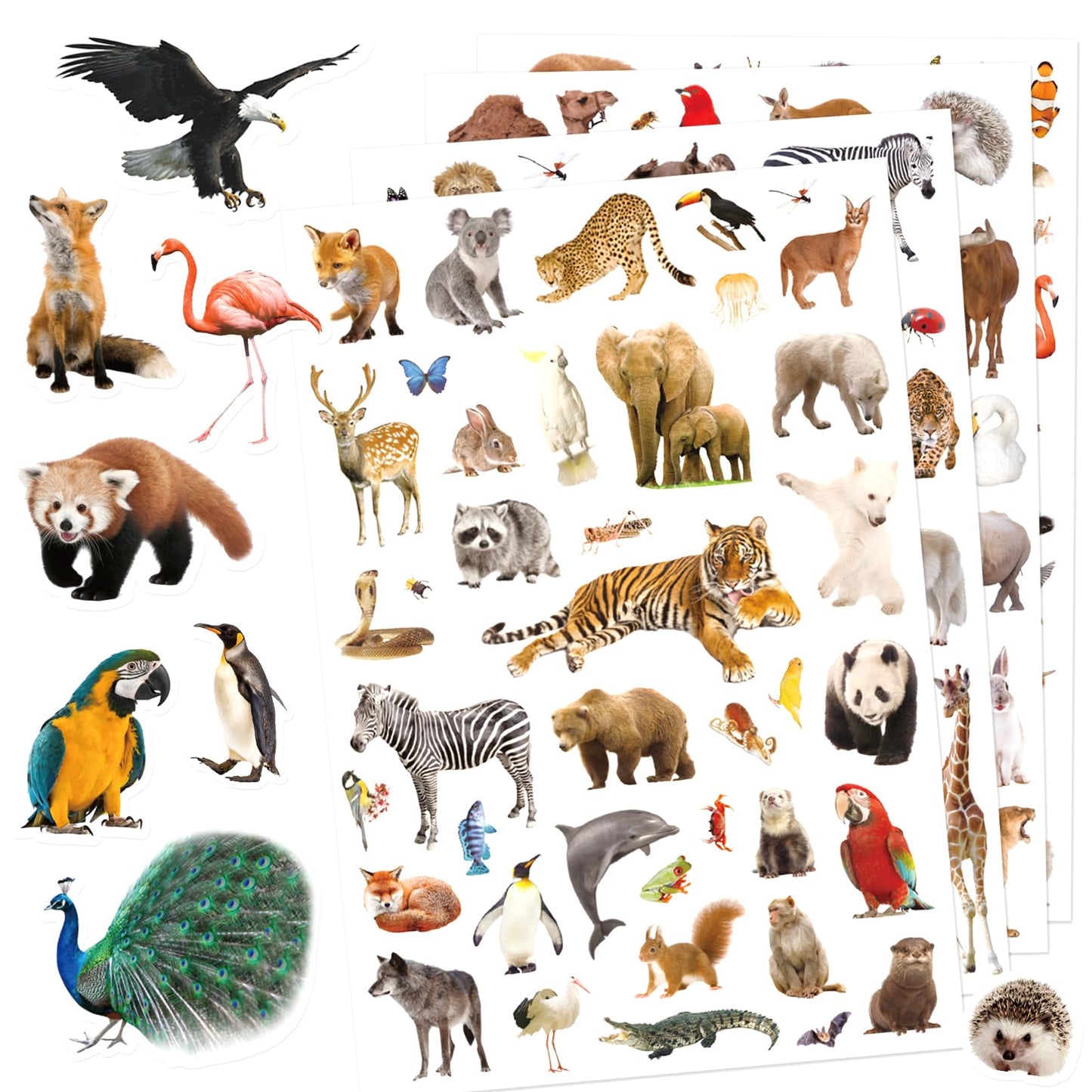 Pet Animals Stickers 660 Count Dog Cat Animal Pet Rabbit Parrot Fish Bird Reptiles Stickers Party Favors Gifts Sticky Decor for Scrapbook Calendar Planner Gift Wrap Decor