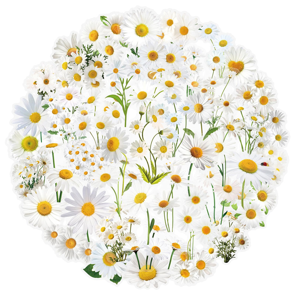 50 Pcs Green Plants PET Stickers Potted Plant Floral Sticker for Laptops Water Bottles Flower Pots Vases Decorative Phone Book Guitar Vinyl Decals for Kids Teens Adults (Plant)