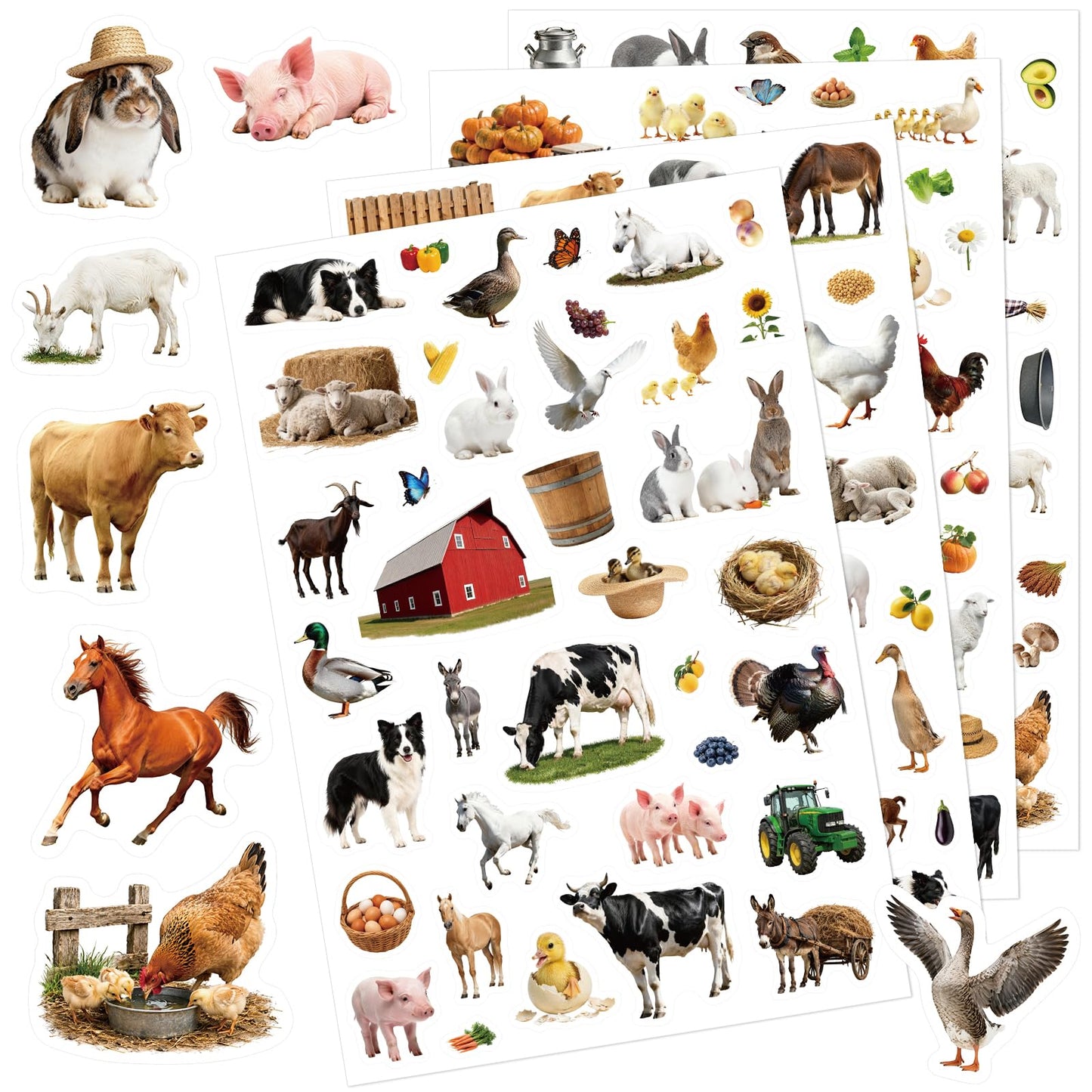 Anwyll Animal Stickers - 750 Pcs Water Bottle Stickers for Scrapbooking