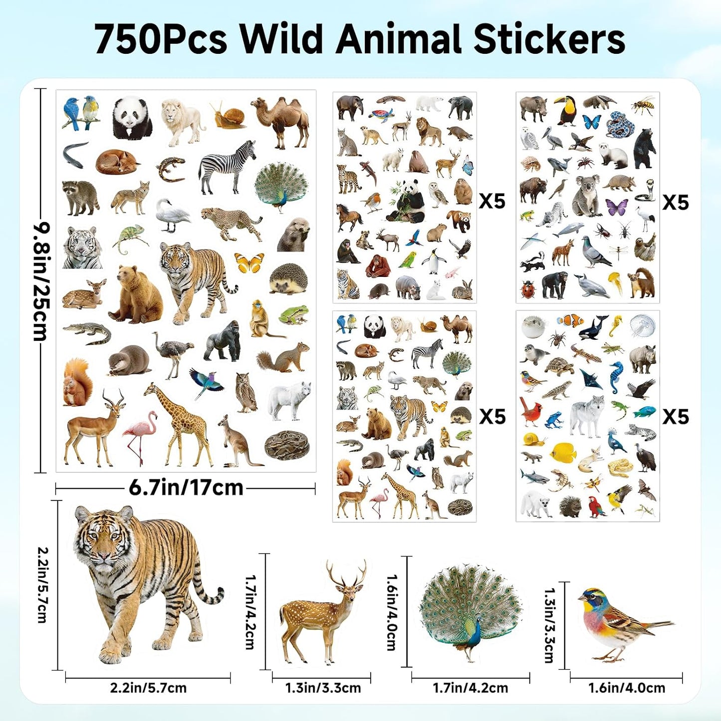 Anwyll Animal Stickers - 750 Pcs Water Bottle Stickers for Scrapbooking