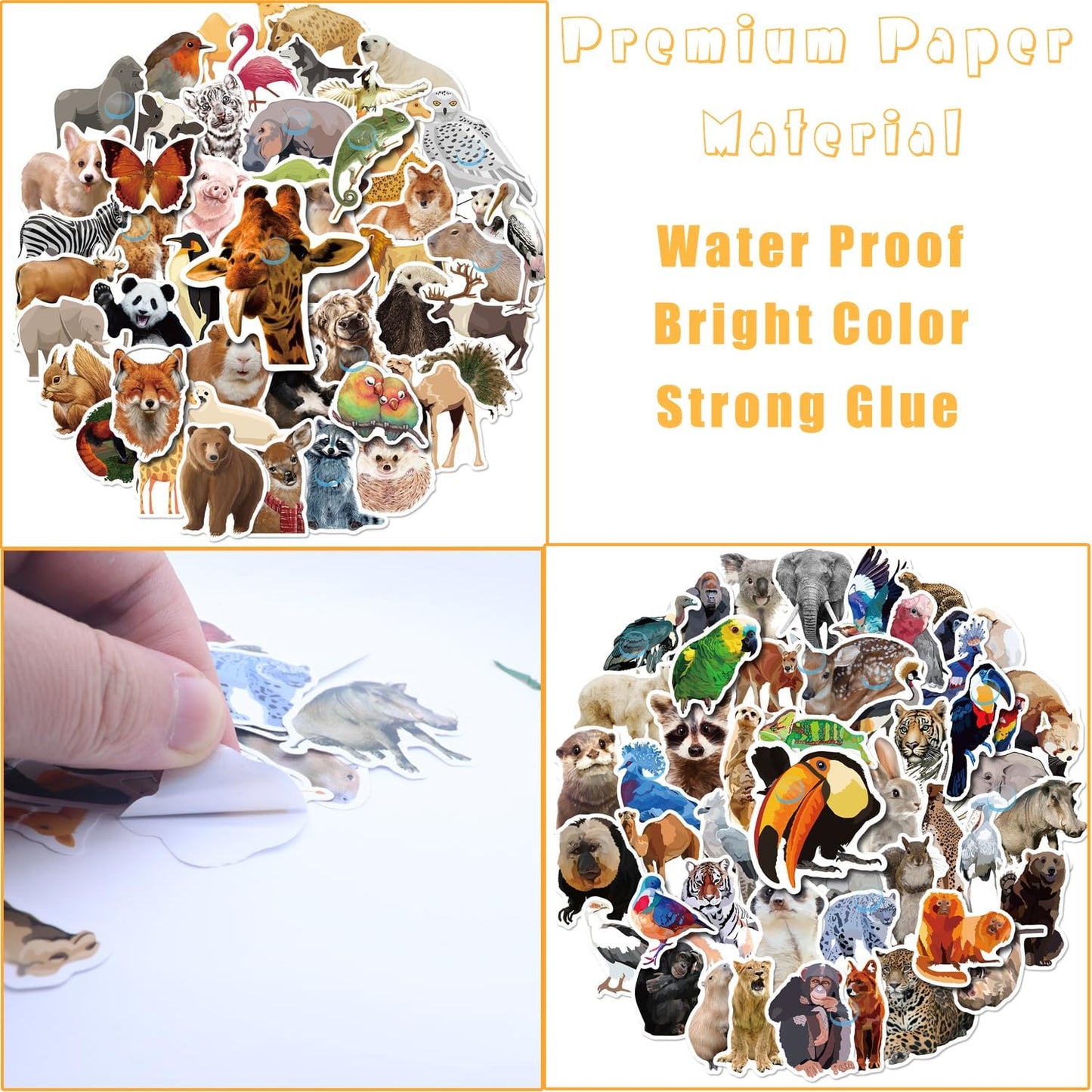 200Pcs Zoo Animal Stickers, Waterproof Self Adhesive Stickers Vinyl Wild Animal Water Bottle Sticker Set for Kids Women Wen