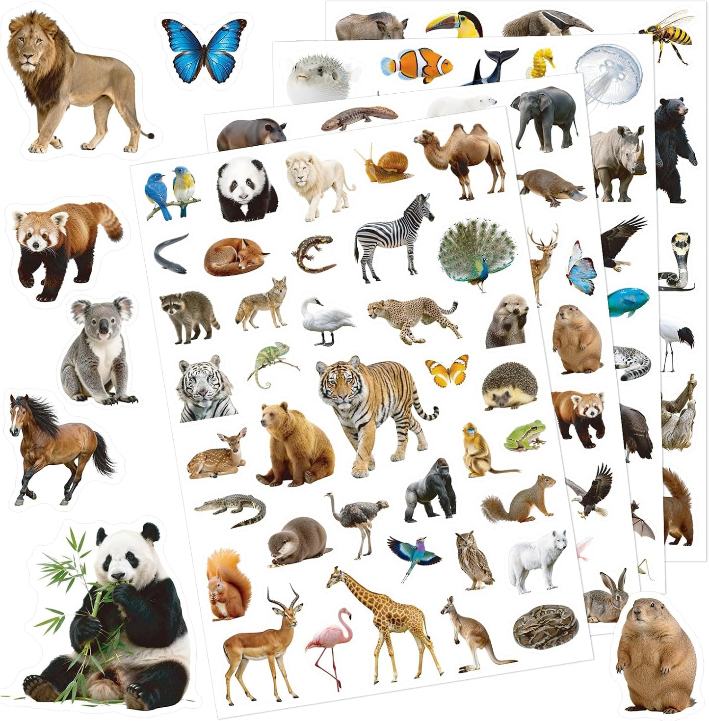 Anwyll Animal Stickers - 750 Pcs Water Bottle Stickers for Scrapbooking