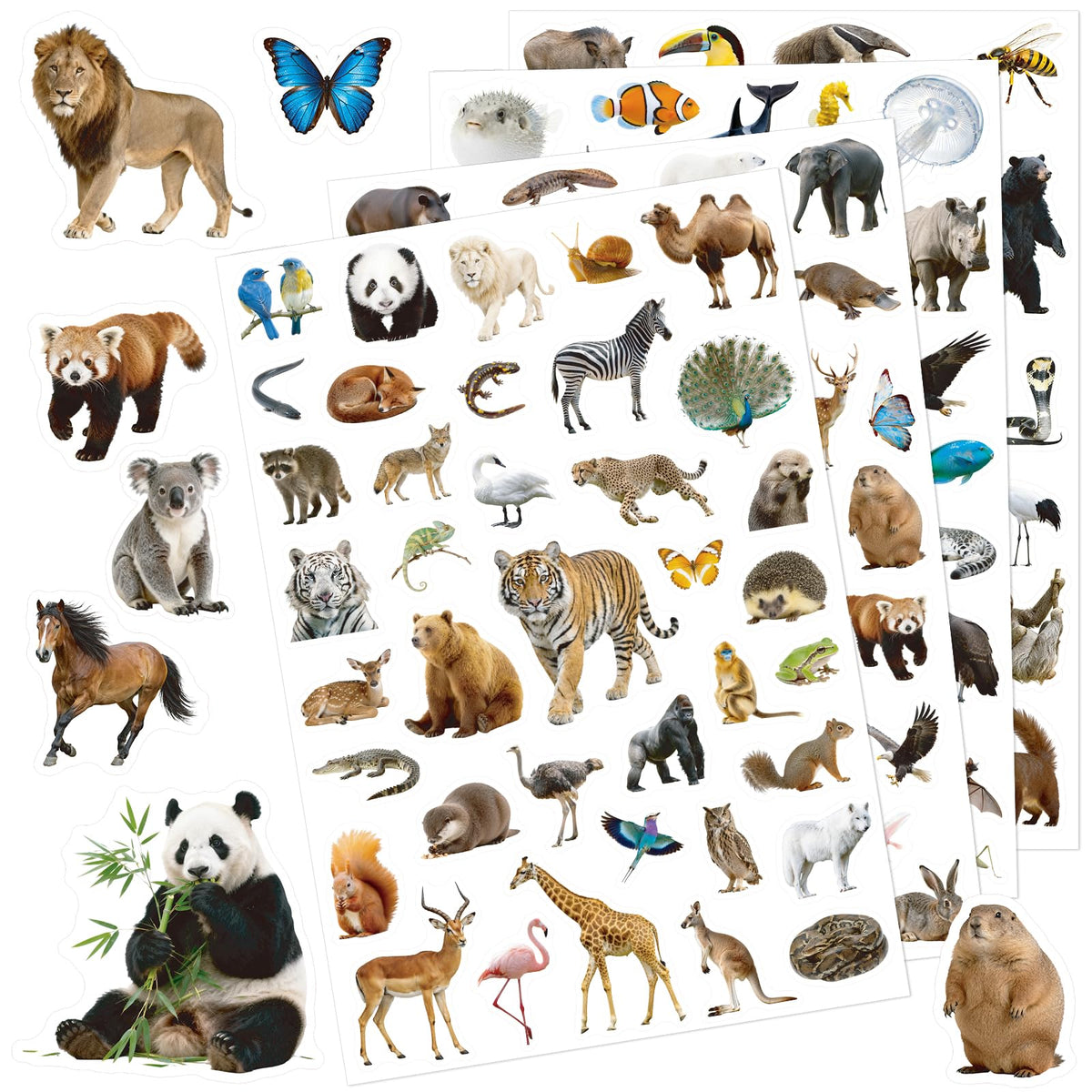 Anwyll Animal Stickers - 750 Pcs Water Bottle Stickers for Scrapbooking