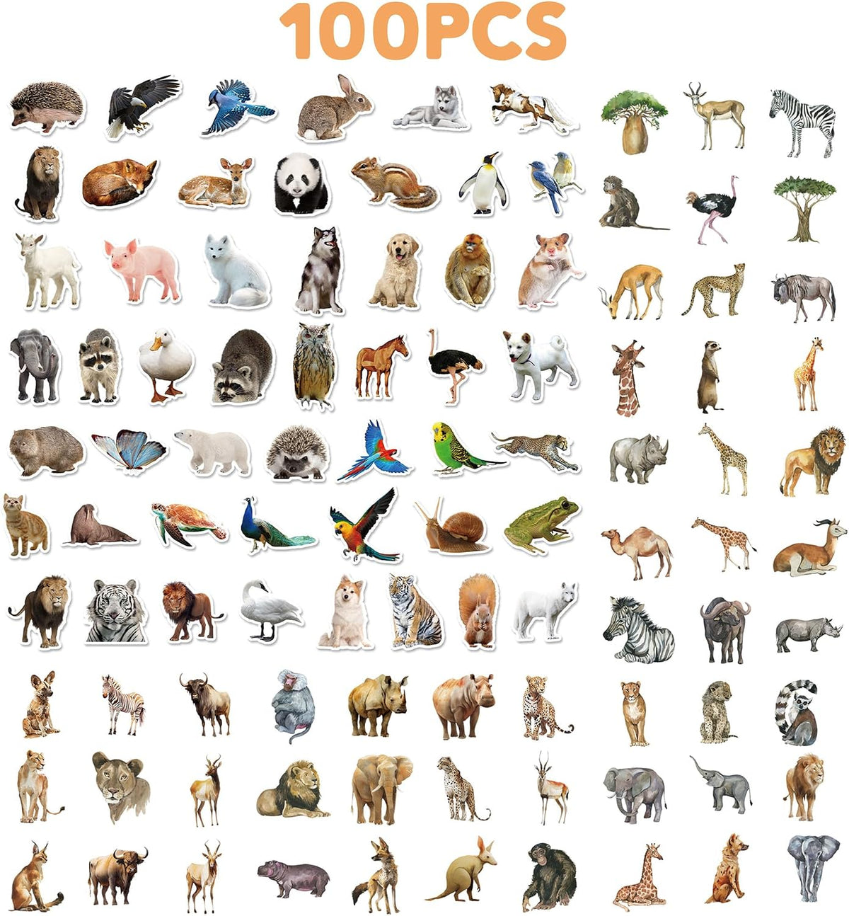 100 PCS Jungle Animal Stickers Safari Zoo Animal Wild One Stickers for Laptop Water Bottle Computer Refrigerator Luggage Phone Case Bicycle Teens (Jungle Animal)
