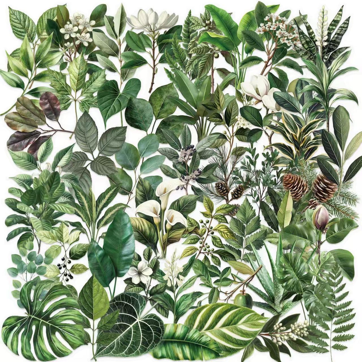 100 Pcs Transparent Green Plant Stickers