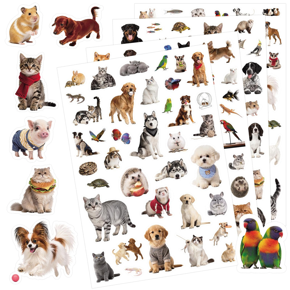 Anwyll Animal Stickers - 750 Pcs Water Bottle Stickers for Scrapbooking