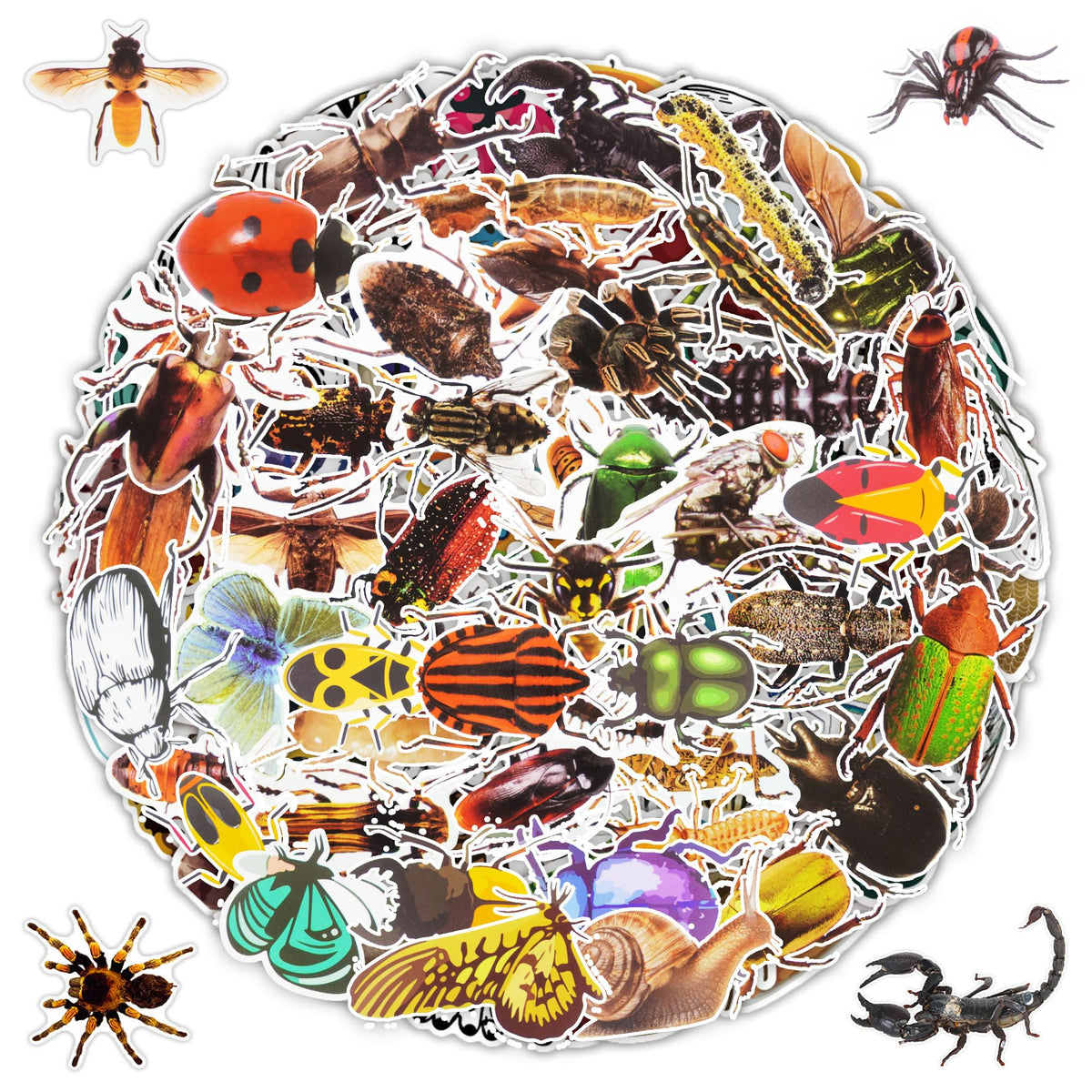 100 PCS Jungle Animal Stickers Safari Zoo Animal Wild One Stickers for Laptop Water Bottle Computer Refrigerator Luggage Phone Case Bicycle Teens (Jungle Animal)