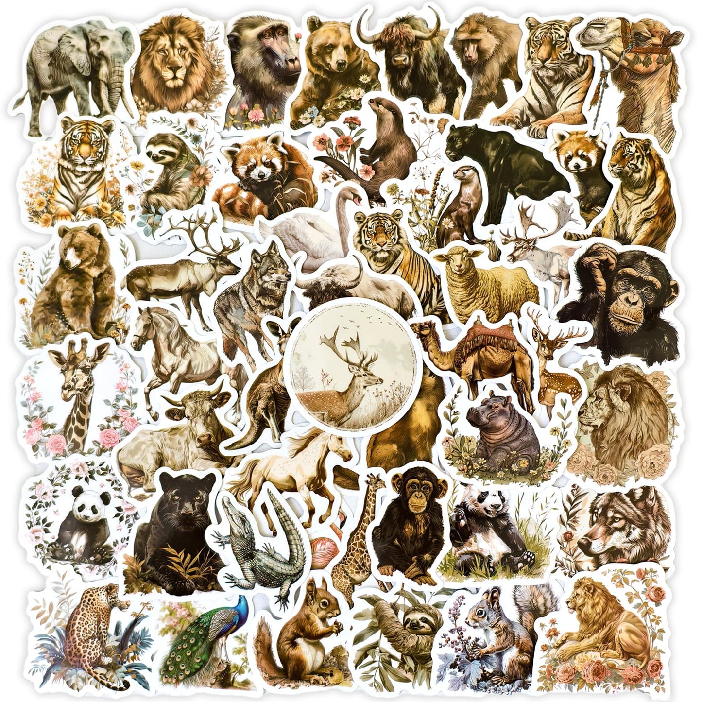 Ychsring Animal Stickers - Zoo Party 50 Pcs Waterproof Vinyl Cartoon Animal Stickers for Water Bottle, Laptop, Phone Case, Cup, Guitar - Forest Woodland Animal Stickers for Kids, Teens & Adults