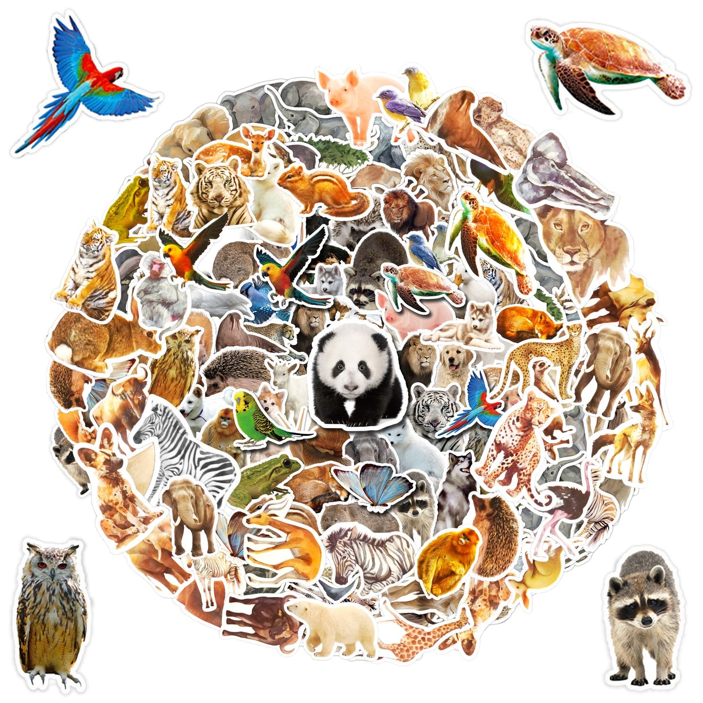 100 PCS Jungle Animal Stickers Safari Zoo Animal Wild One Stickers for Laptop Water Bottle Computer Refrigerator Luggage Phone Case Bicycle Teens (Jungle Animal)