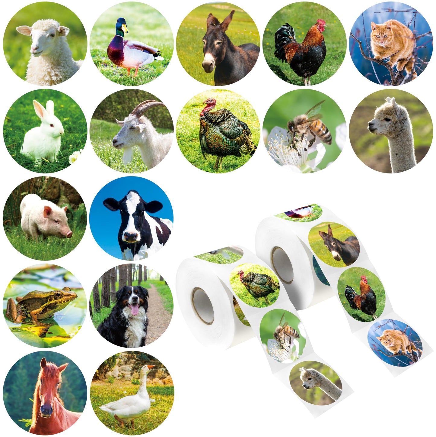 Hebayy 600 PCS Cartoon Animal Stickers Party Decoration Teacher Reward Encouragement Motivational Decals 16 Designs Value Pack (Each Measures 1.5" in Diameter)